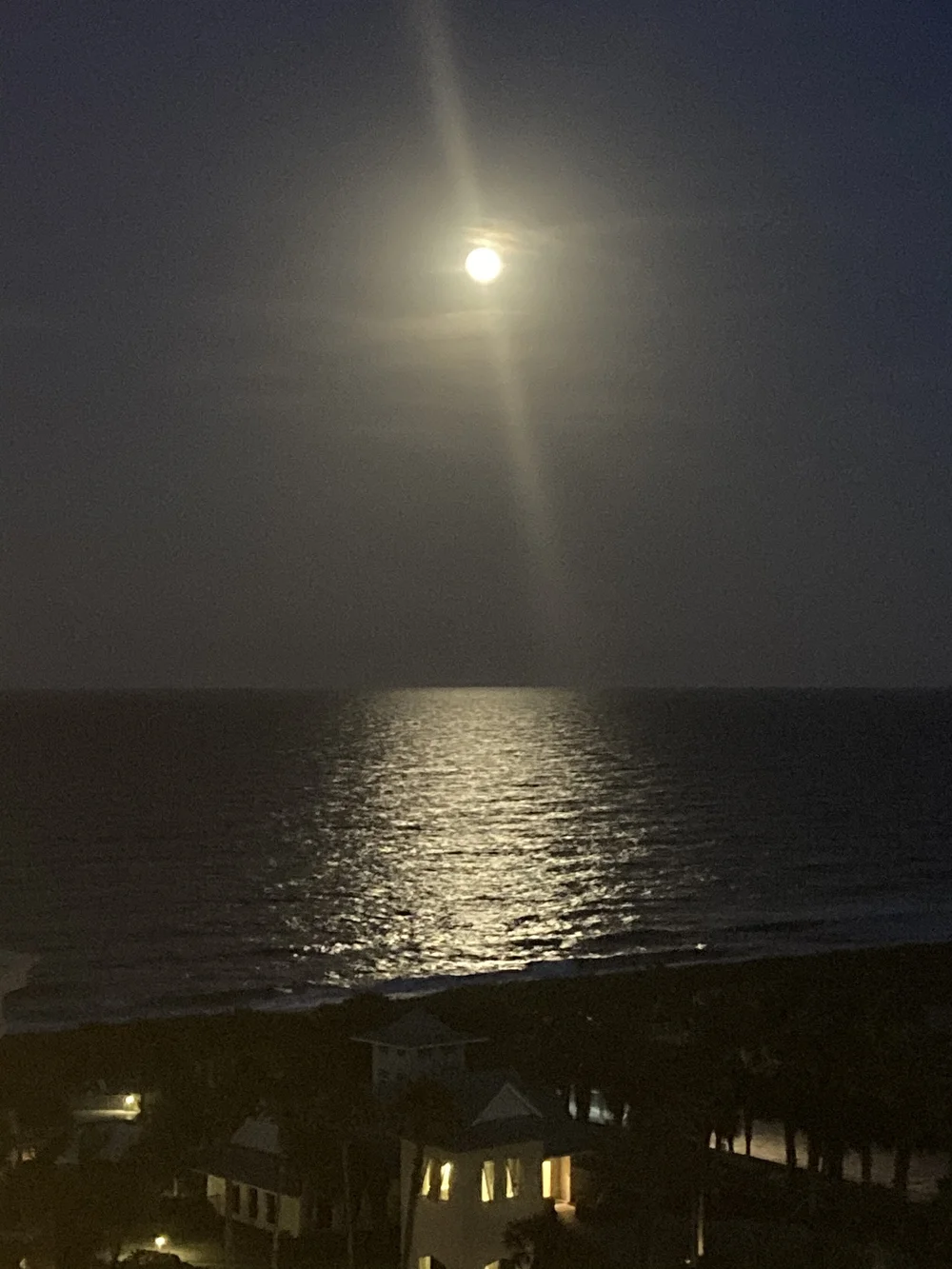 Moonlit view one