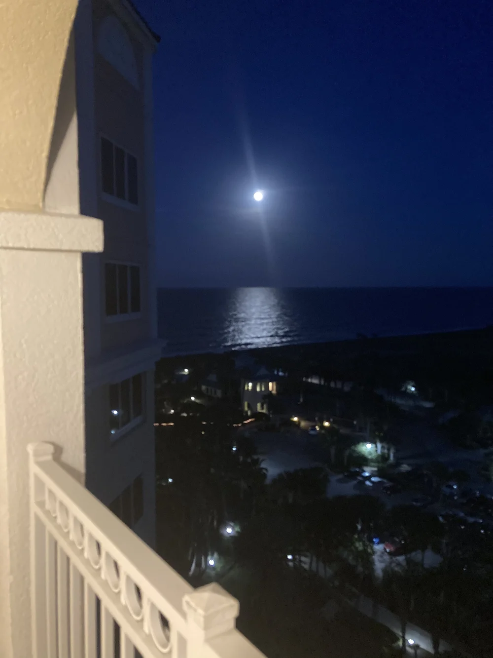 Moonlit view two