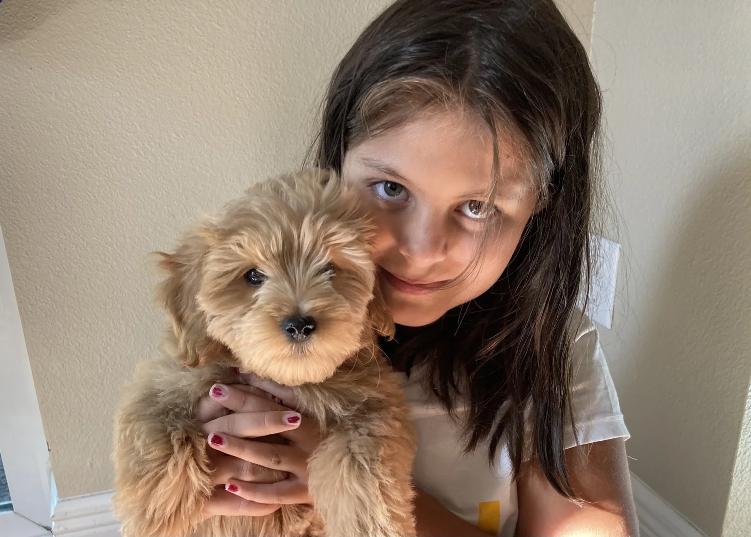 Kid and puppy. Staring.